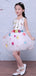 Fashion Embroidery Colorful Handmade Flower Belt Lovely Flower Girl Dresses, FGS124