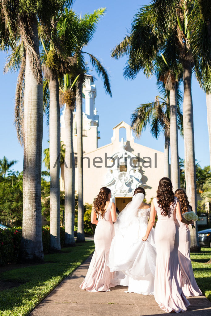 Light Pink Sleeveless Mermaid With Train Long Bridesmaid Dresses, AB4082