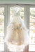 Princess Spaghetti Strap Colorful Appliques Ruffles Ball Gown  Wedding Dresses, AB1169