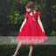 Sweet Red Appliques Tulle Pretty Sleeveless Short Flower Girl Dresses, FGS073