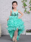 Tiffany Blue Organza Ruffles Tiered High Low Unquie Flower Girl Dresses, FGS134